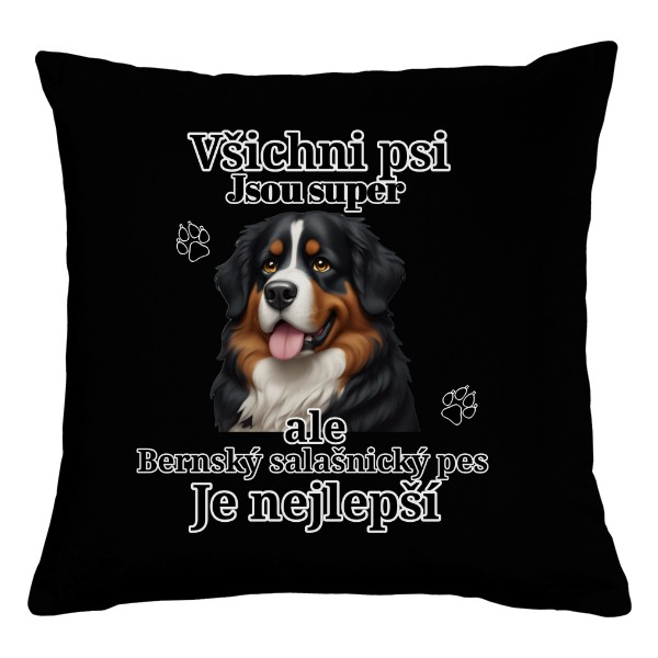Nejlepší Bernský salašnický